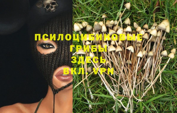 Альфа ПВП Зерноград