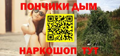 прущие грибы Беслан