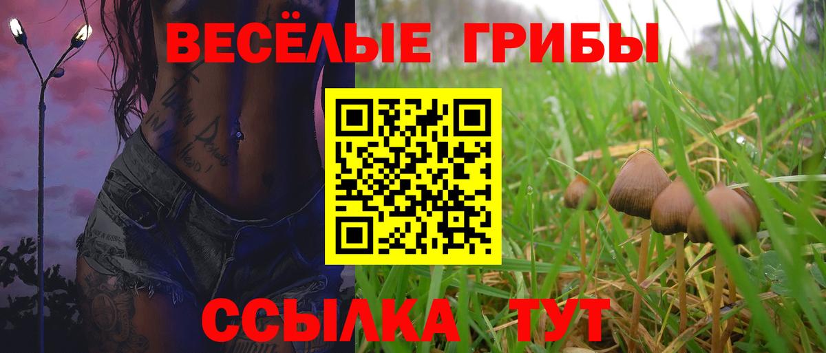 Галлюциногенные грибы мицелий  Вход с VPN  Воронеж 