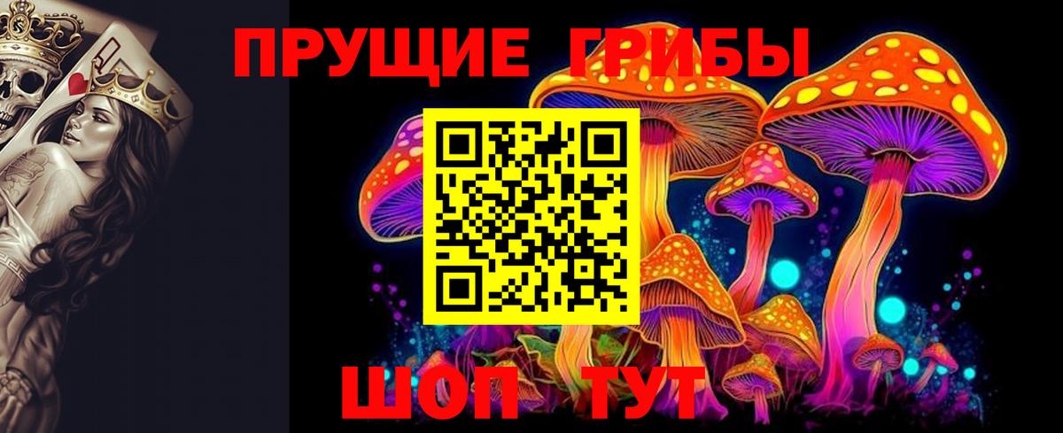 Галлюциногенные грибы Psilocybe Воронеж
